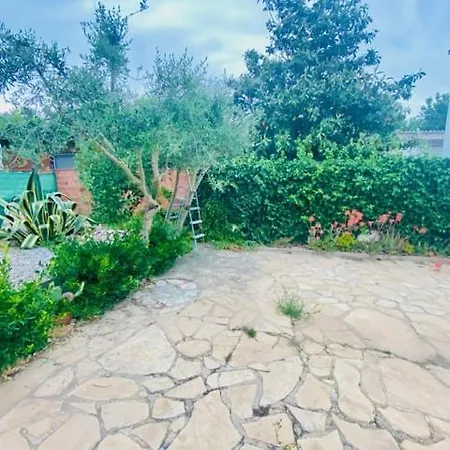 Casa 7 Montseny Holiday home
